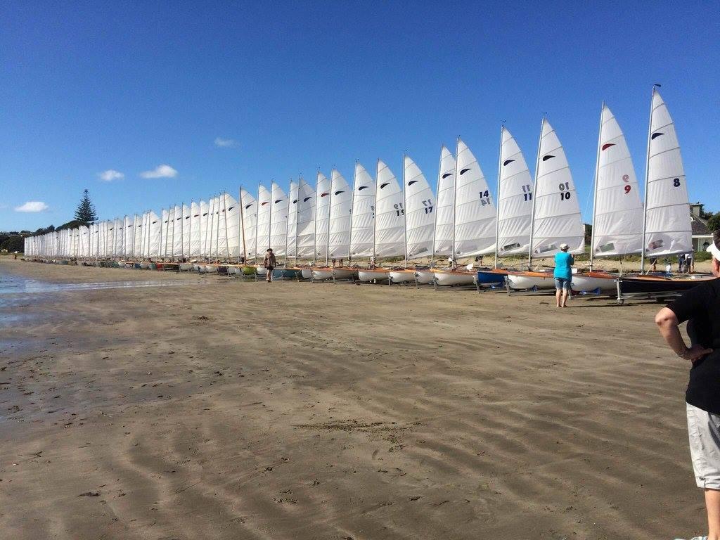 The 86 strong fleet - 60th Zephyr Nationals - Manly, April 2016 © Zephyr Owners Association