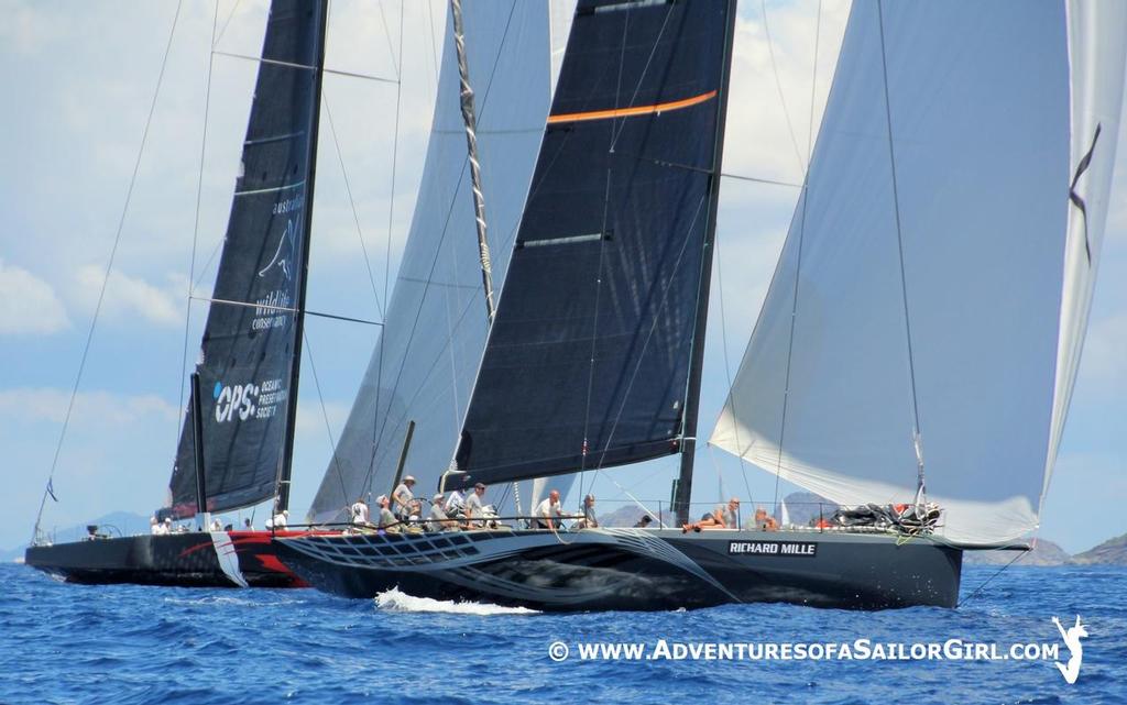 - - Day 2, Les Voiles De Saint-Barth © Nic Douglass / www.AdventuresofaSailorGirl.com