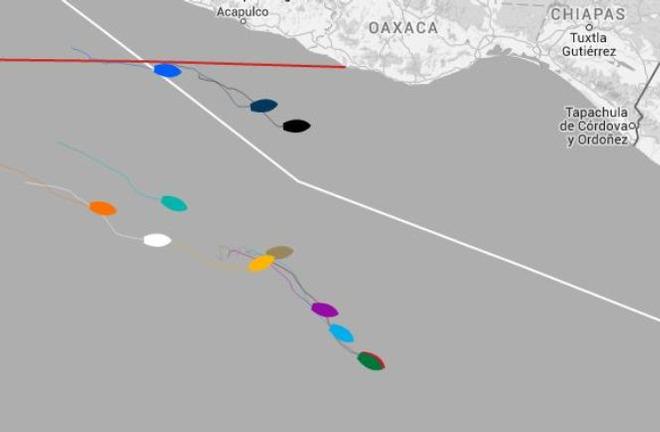Current positions - Clipper Round the World Yacht Race © Clipper Ventures