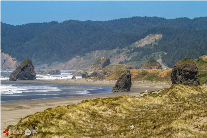 Gold Beach, Oregon Coastline © American Windsurfing Tour