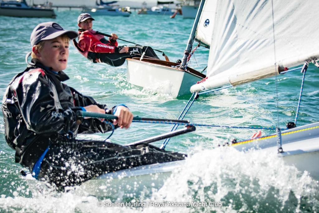 Eli Liefting and Harry Butler sailing his Starling photo copyright Suellen Hurling taken at  and featuring the  class