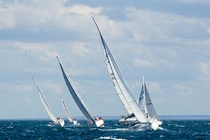 BLiSS fleet on Port  Phillip in 20kt N - 2016 BLiSS Regatta photo copyright  Steb Fisher taken at  and featuring the  class