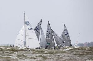 2.4mR fleet in action on day one - 2016 Delta Lloyd Regatta photo copyright Delta Lloyd Regatta - Sander van der Borch http://www.sandervanderborch.com taken at  and featuring the  class