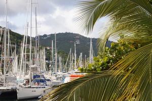 Nanny Cay Marina photo copyright WCC / Isabelly Tremblay taken at  and featuring the  class