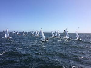 Fleet in action at 2016 Contender World Championships photo copyright Rick Linkemyer taken at  and featuring the  class