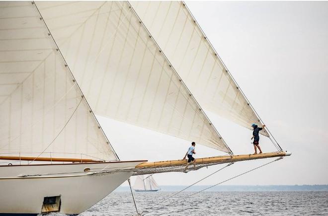 The 213-foot (65m) three-masted schooner Adix sails off Newport’s historic Cliff Walk during the Candy Store Cup © Rod R. Harris