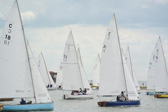 2016 Learning and Skills Soluntions Pyefleet Week - Day 6 © Tanya Bines