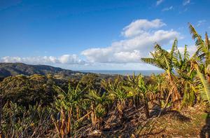 Banana farming near Coffs Harbour photo copyright  John Curnow taken at  and featuring the  class