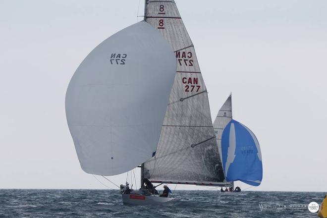 Day 1 - 24th Canada’s Cup - 11 September 2016 © Tim Wilkes Photography
