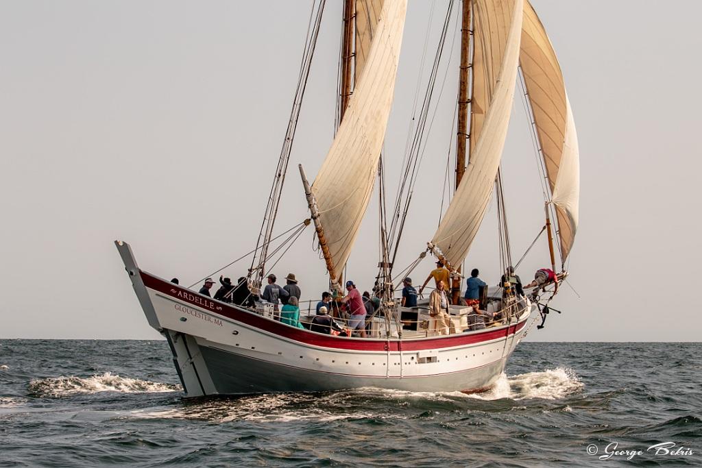 Ardelle - 32nd Annual Gloucester Schooner Festival © george bekris
