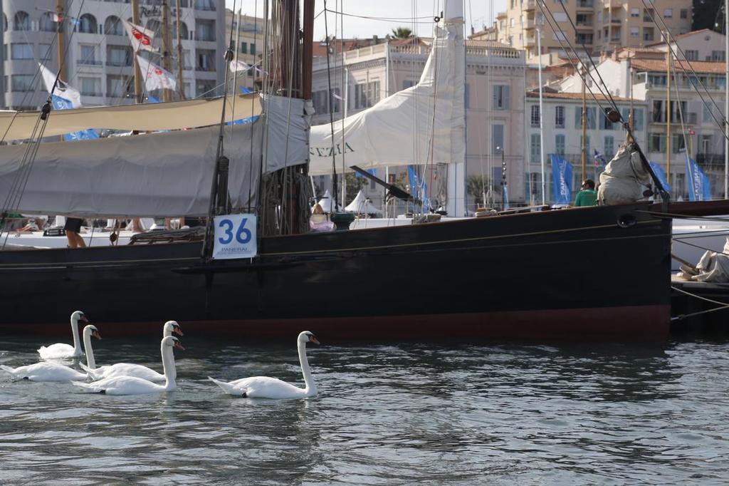  - Cannes Regates Royal, September 23, 2016 © Eugenia Bakunova http://www.mainsail.ru