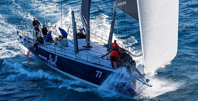 Black Jack  &copy;  Andrea Francolini Photography http://www.afrancolini.com/