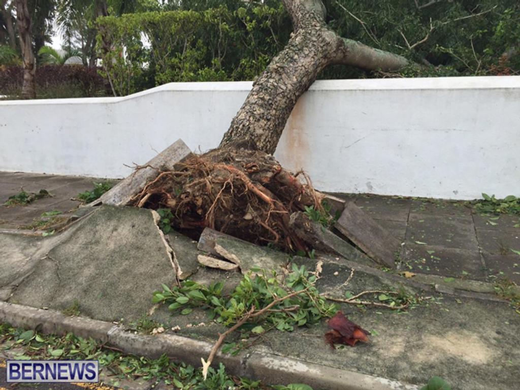 - Bermuda - Hurricane Nicole - October 13, 2016 © Ber News