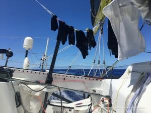 Pieter Heerema (No Way Back) - Vendée Globe photo copyright Pieter Heerema taken at  and featuring the  class