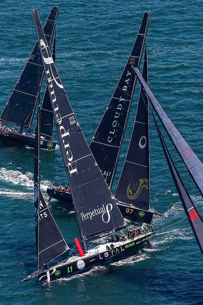 Tacking out Sydney Harbour with the leaders - Perpetual Loyal would take them their first in the end. - 2016 Rolex Sydney Hobart Yacht Race © Andrea Francolini