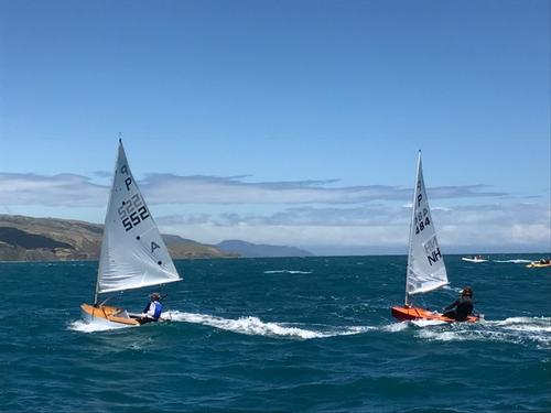 Day 2 - Harcourts Paremata 2017 Tanner Cup © Todd Olson