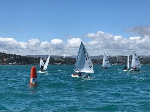 Day 2 - Harcourts Paremata 2017 Tanner Cup © Todd Olson