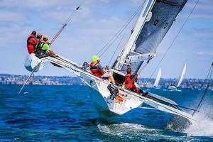2016 Festival of Sails - Bare Essentials on Corio Bay photo copyright Saltwater Images taken at  and featuring the  class