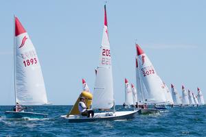Scott Olson had a great day with two wins and is presently in second place overall. - 39th Sabre Australian Championship photo copyright  Alex McKinnon Photography http://www.alexmckinnonphotography.com taken at  and featuring the  class