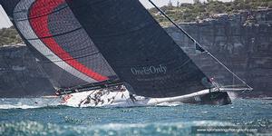 Scallywag - 2016 Rolex Sydney Hobart Yacht Race photo copyright Beth Morley - Sport Sailing Photography http://www.sportsailingphotography.com taken at  and featuring the  class
