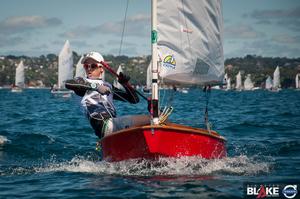 Sir Peter Blake Regatta, Torbay, Auckland, NZ - Day 2, Dec 4 2016 photo copyright Suellen Hurling  taken at  and featuring the  class