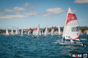 Sir Peter Blake Regatta, Torbay, Auckland, NZ - Day 2, Dec 4 2016 photo copyright Suellen Hurling  taken at  and featuring the  class