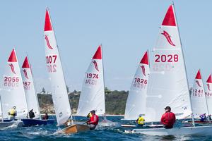 Coming back on Port tack after the start. - 39th Sabre Australian Championship photo copyright  Alex McKinnon Photography http://www.alexmckinnonphotography.com taken at  and featuring the  class