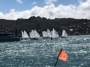 Day 2 - Harcourts Paremata 2017 Tanner Cup photo copyright Todd Olson taken at  and featuring the  class