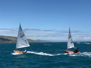 Day 2 - Harcourts Paremata 2017 Tanner Cup photo copyright Todd Olson taken at  and featuring the  class