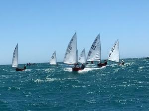 Day 2 - Harcourts Paremata 2017 Tanner Cup photo copyright Todd Olson taken at  and featuring the  class