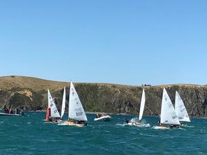 Day 2 - Harcourts Paremata 2017 Tanner Cup photo copyright Todd Olson taken at  and featuring the  class