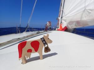 Day 44 – Alan Roura (La Fabrique) - Vendée Globe photo copyright Alan Roura / La Fabrique / Vendée Globe taken at  and featuring the  class