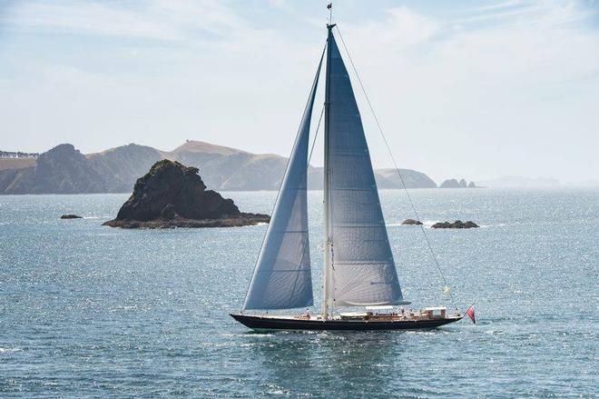 Pumula - Bay of Islands Sailing Week, January 2017 © Mark Sims