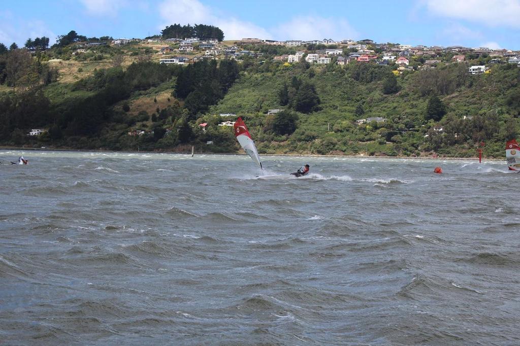 Final Day - Forward Sailing New Zealand O'pen Cup - Otago Harbour January 2017 © O'pen BIC New Zealand