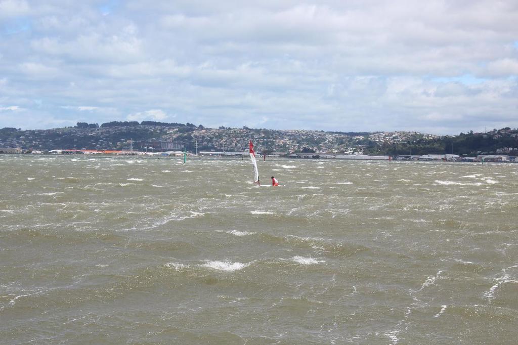 Plenty of sheep in the paddock - Final Day - Forward Sailing New Zealand O'pen Cup - Otago Harbour January 2017 © O'pen BIC New Zealand