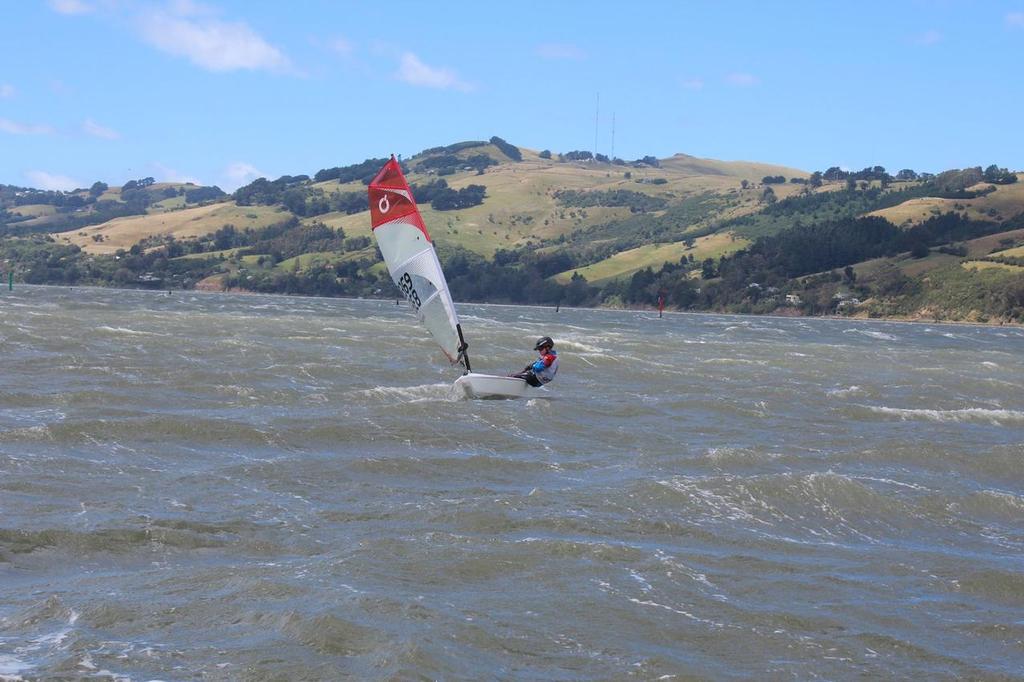 Final Day - Forward Sailing New Zealand O'pen Cup - Otago Harbour January 2017 © O'pen BIC New Zealand