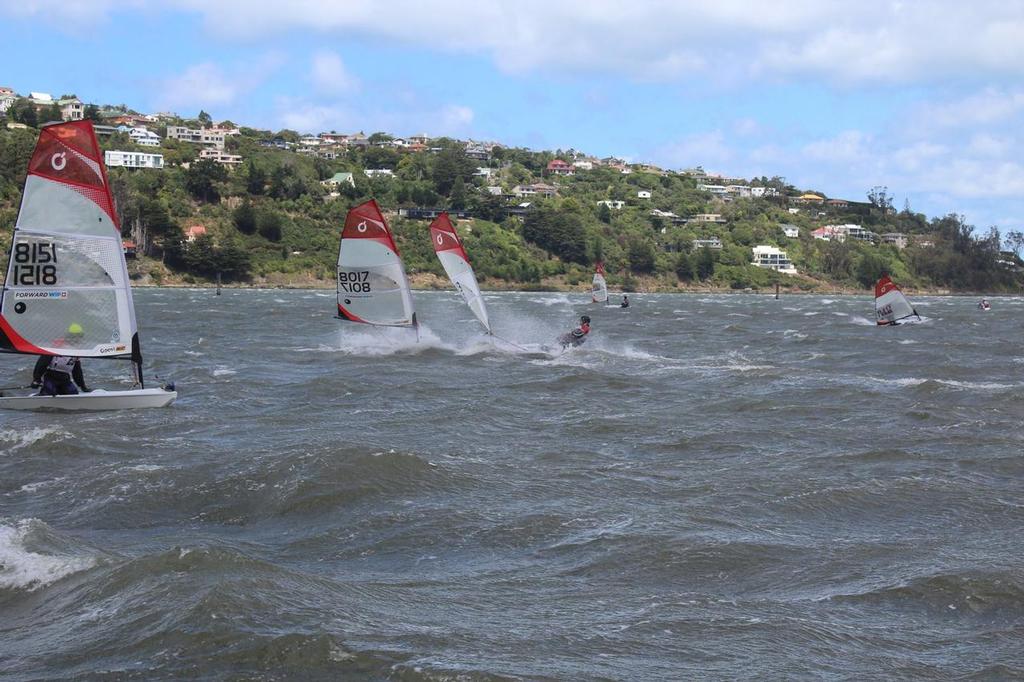 Final Day - Forward Sailing New Zealand O'pen Cup - Otago Harbour January 2017 © O'pen BIC New Zealand