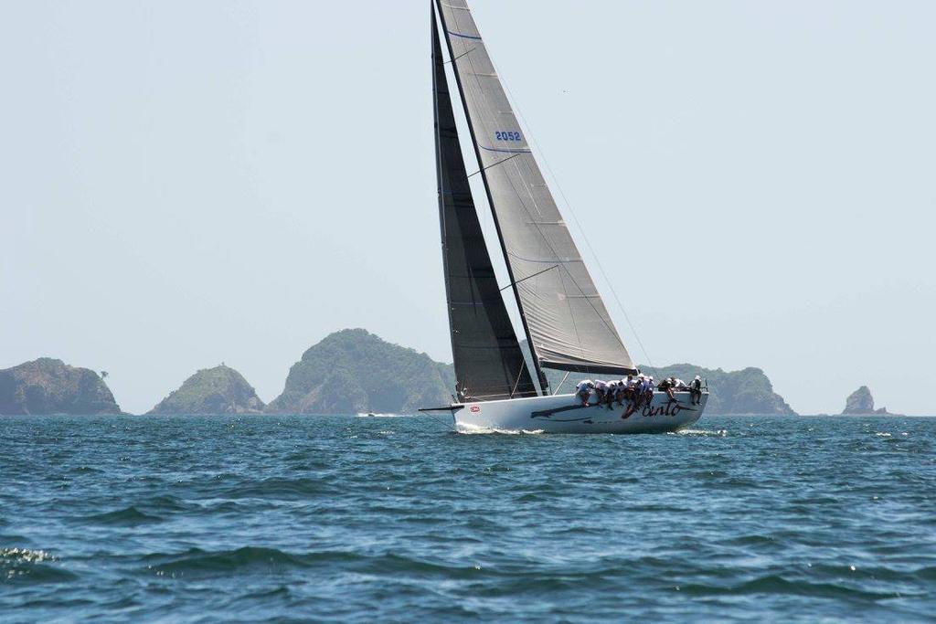 Viento - Bay of Islands Sailing Week, January 2017 © Mark Sims