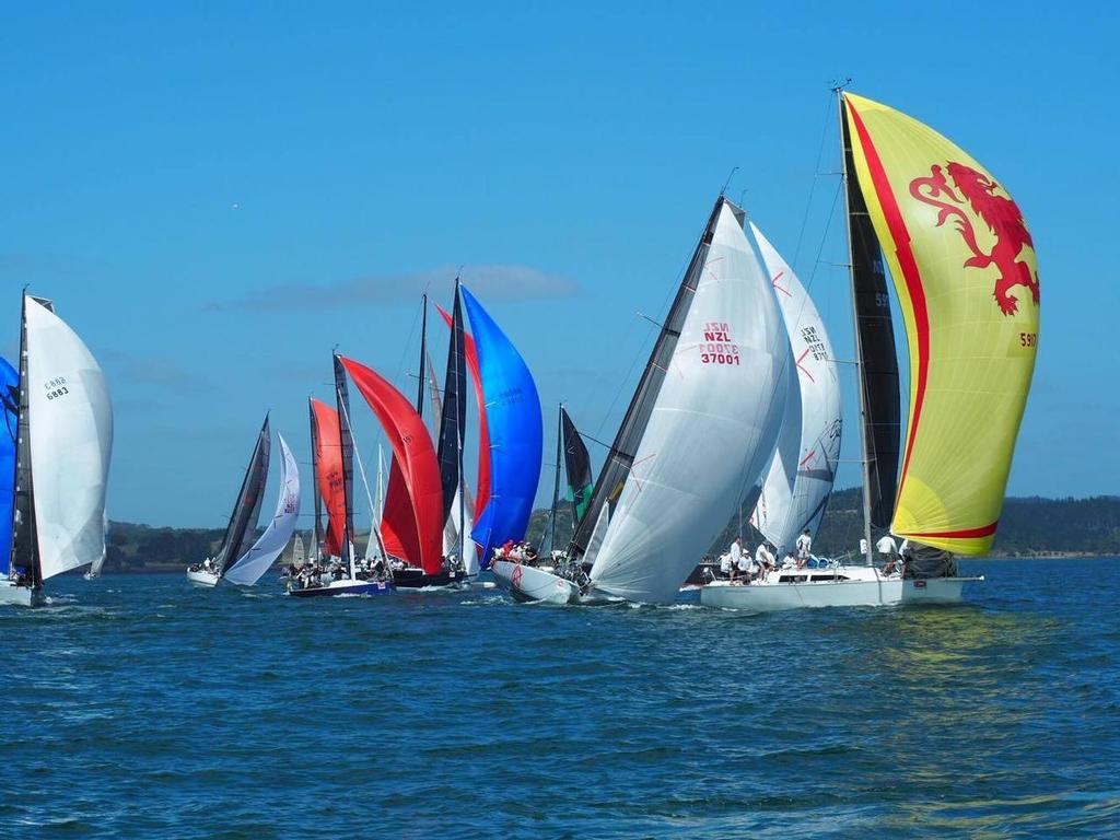  - Bay of Islands Sailing Week, January 2017 © Paul Miller