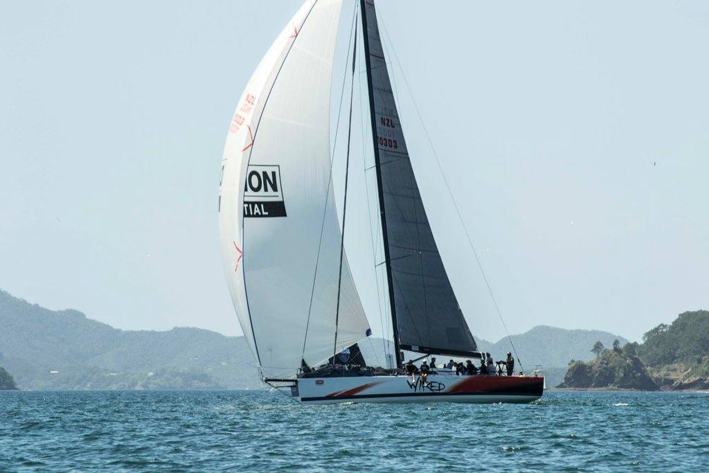 Wired - Bay of Islands Sailing Week, January 2017 © Mark Sims