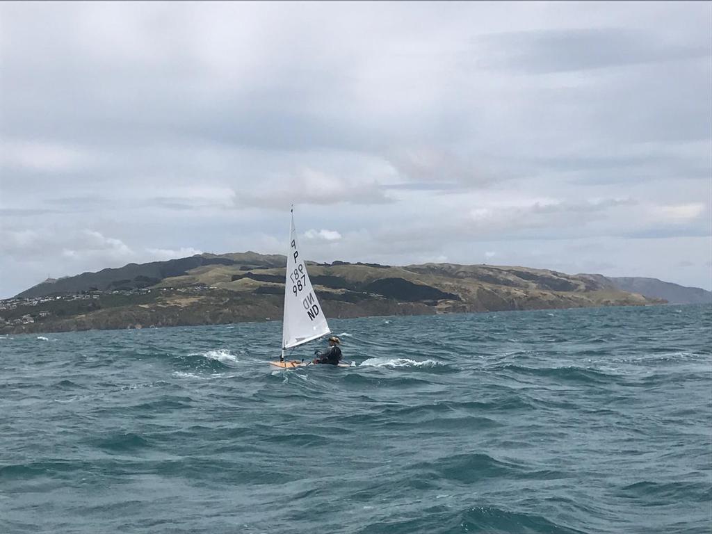  - Harcourts Paremata - 2017 Tauranga Cup - Plimmerton Boating Club photo copyright Todd Olson taken at  and featuring the  class