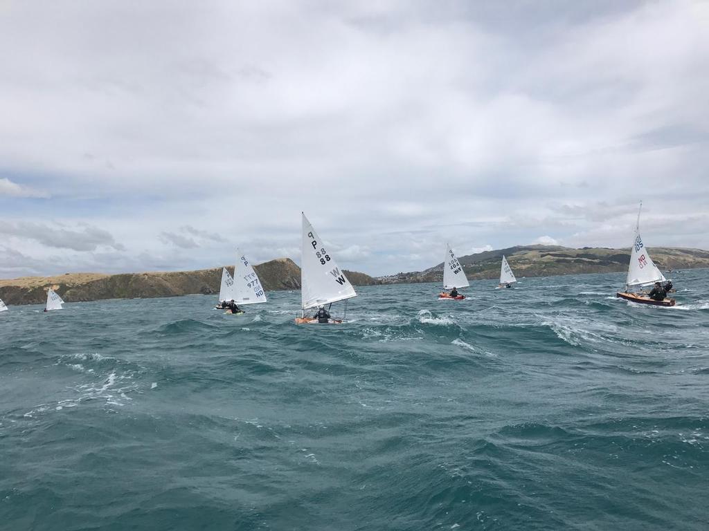  - Harcourts Paremata - 2017 Tauranga Cup - Plimmerton Boating Club photo copyright Todd Olson taken at  and featuring the  class