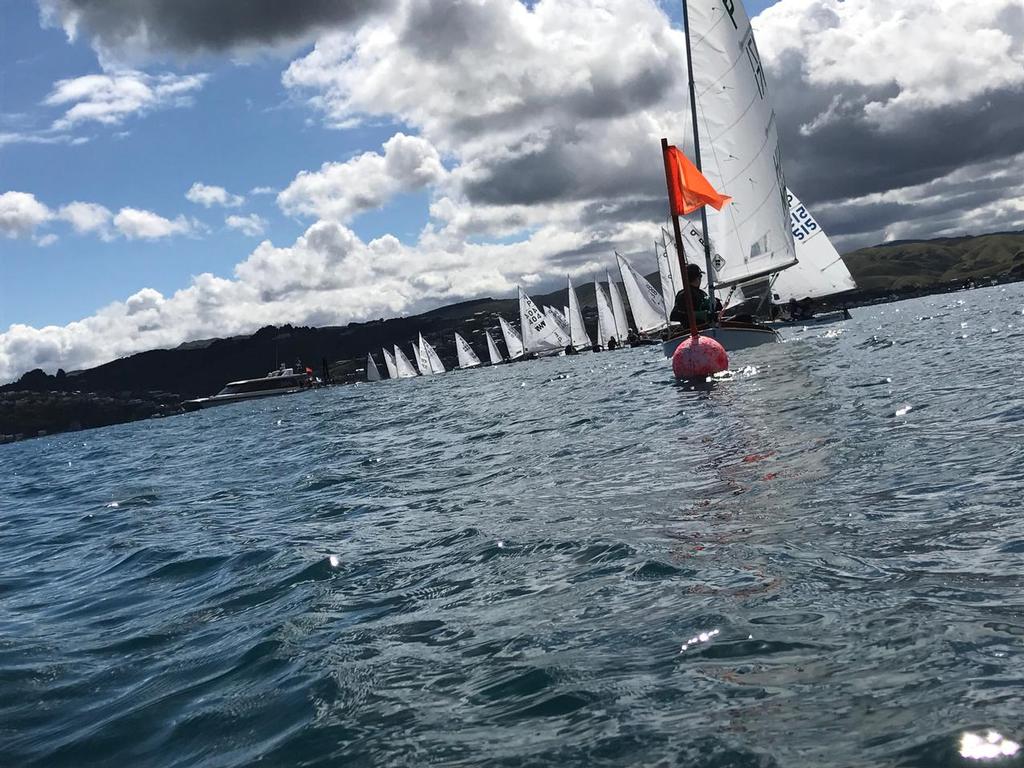  - Harcourts Paremata - 2017 Tauranga Cup - Plimmerton Boating Club photo copyright Todd Olson taken at  and featuring the  class