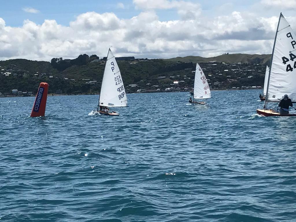  - Harcourts Paremata - 2017 Tauranga Cup - Plimmerton Boating Club photo copyright Todd Olson taken at  and featuring the  class