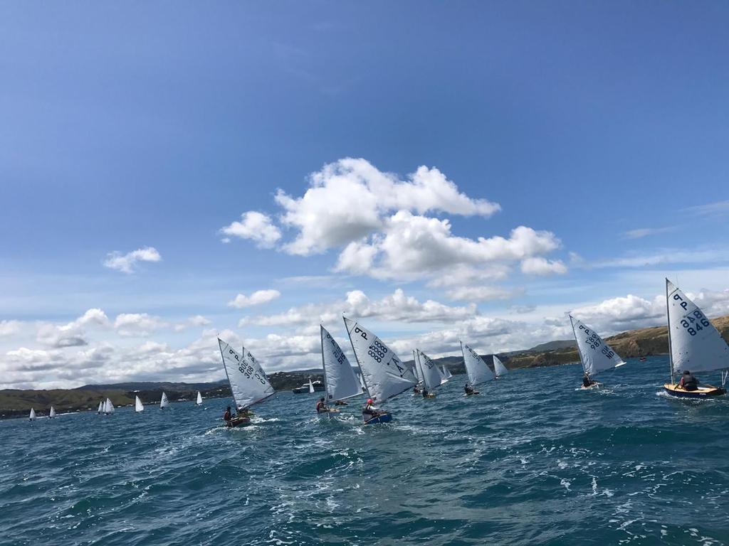  - Harcourts Paremata - 2017 Tauranga Cup - Plimmerton Boating Club photo copyright Todd Olson taken at  and featuring the  class