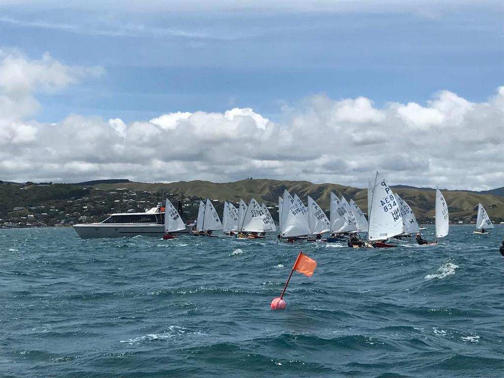  - Harcourts Paremata - 2017 Tauranga Cup - Plimmerton Boating Club photo copyright Todd Olson taken at  and featuring the  class