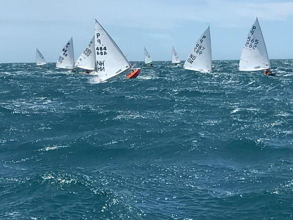  - Harcourts Paremata - 2017 Tauranga Cup - Plimmerton Boating Club photo copyright Todd Olson taken at  and featuring the  class