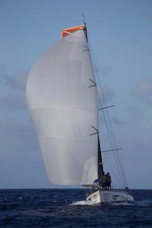 Amhas finish - 33rd Pineapple Cup – Montego Bay Race photo copyright Edward Downer / Pineapple Cup taken at  and featuring the  class
