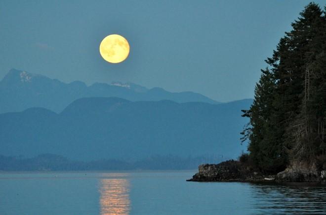 Sail Vancouver Island © Brian Pozzey