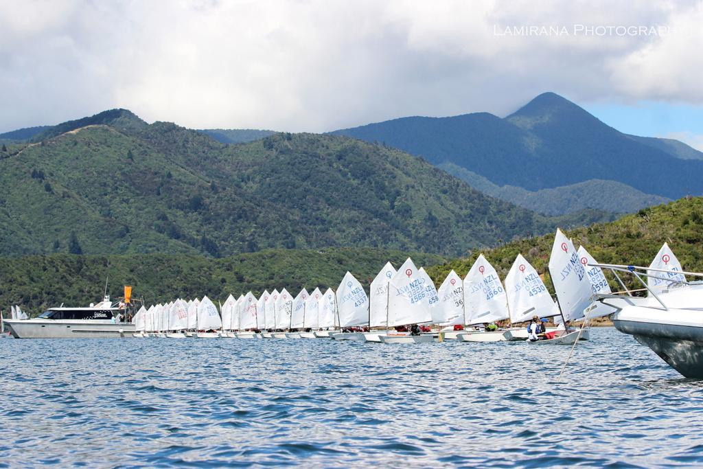 Starline of ne of the Flights of the Optimist fleet - Interislander Optimist Challenge 2017 and Port Marlborough Starling regatta © Agnes Takacs